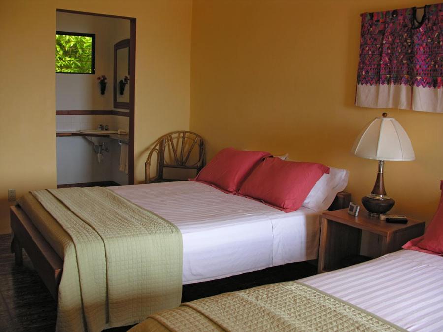 Coral House Bed and Breakfast Punta Gorda Buitenkant foto