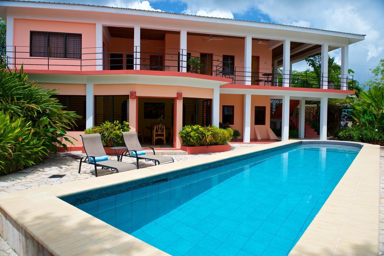 Coral House Bed and Breakfast Punta Gorda Buitenkant foto