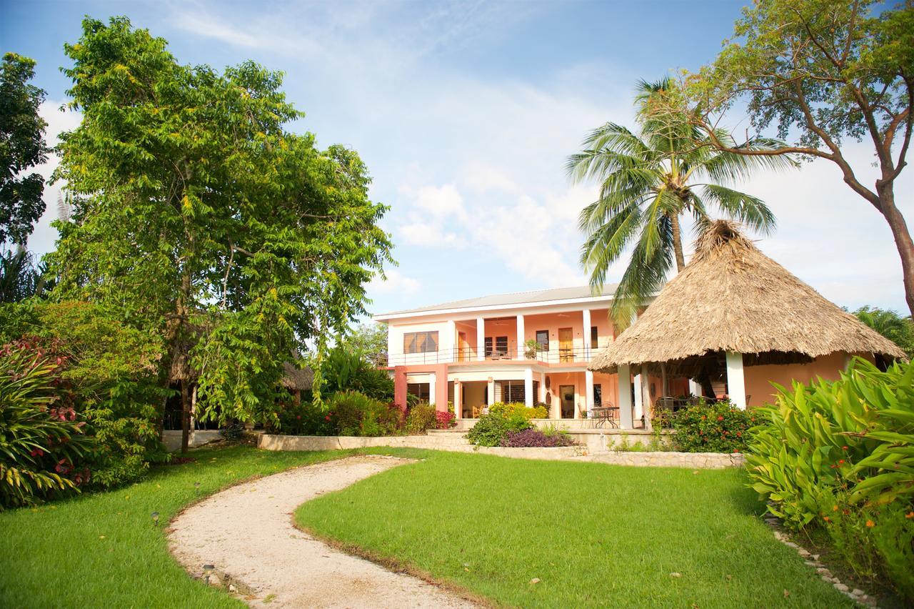 Coral House Bed and Breakfast Punta Gorda Buitenkant foto