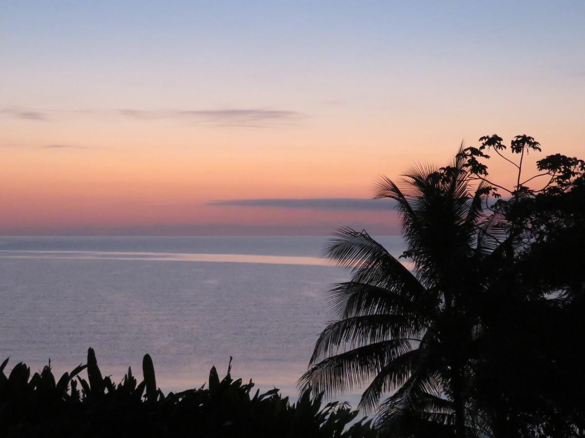 Coral House Bed and Breakfast Punta Gorda Buitenkant foto