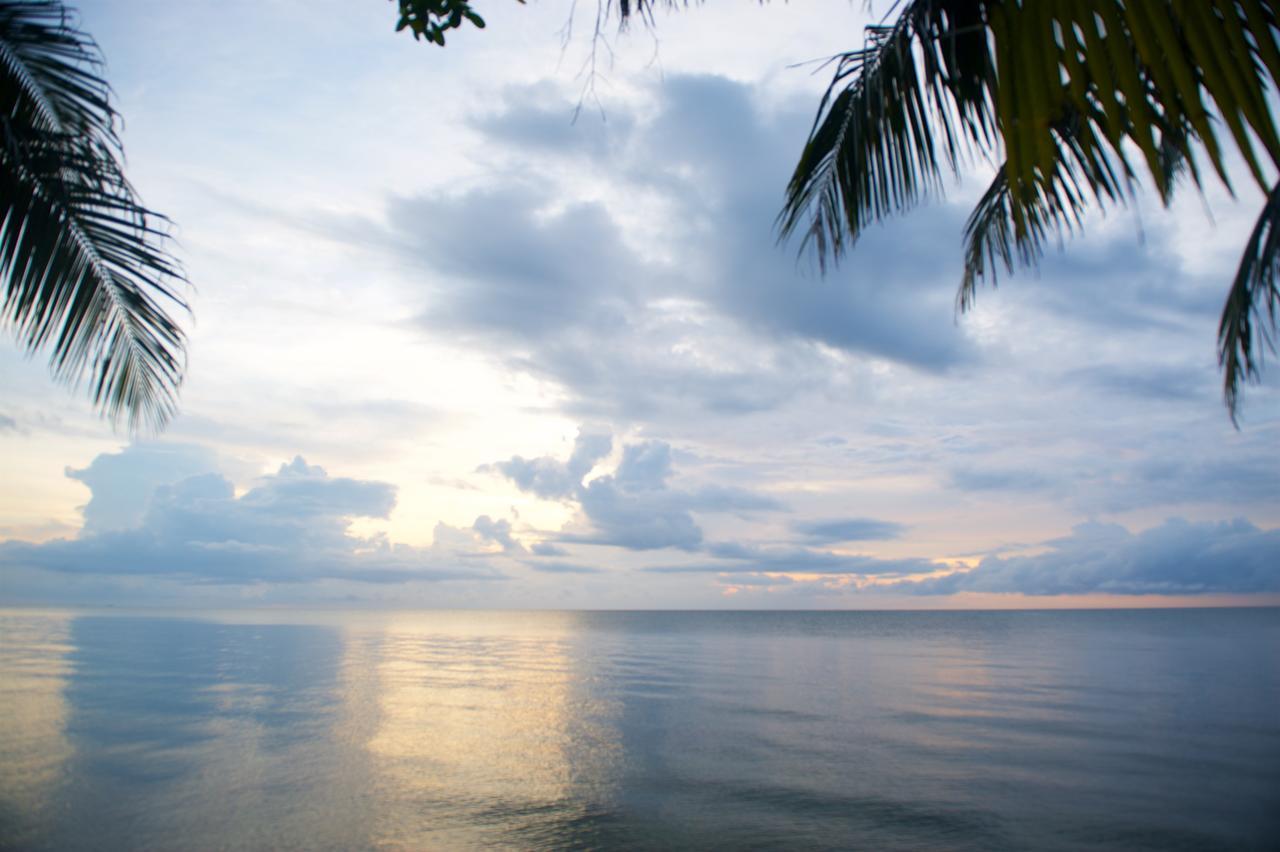 Coral House Bed and Breakfast Punta Gorda Buitenkant foto