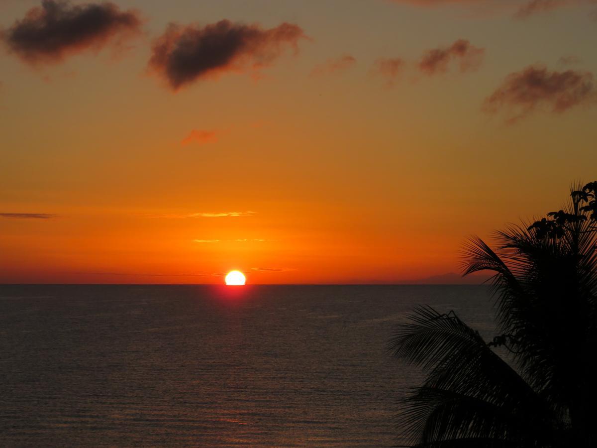 Coral House Bed and Breakfast Punta Gorda Buitenkant foto