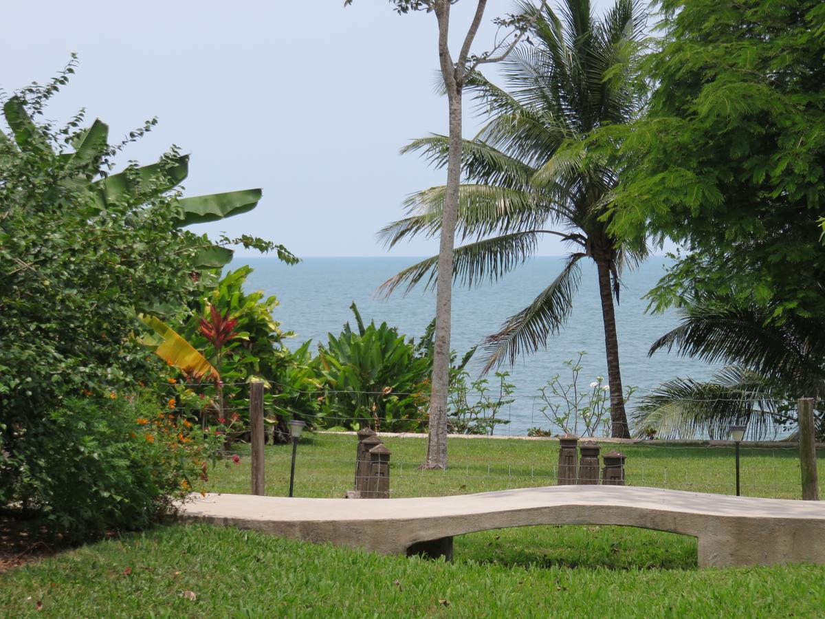 Coral House Bed and Breakfast Punta Gorda Buitenkant foto