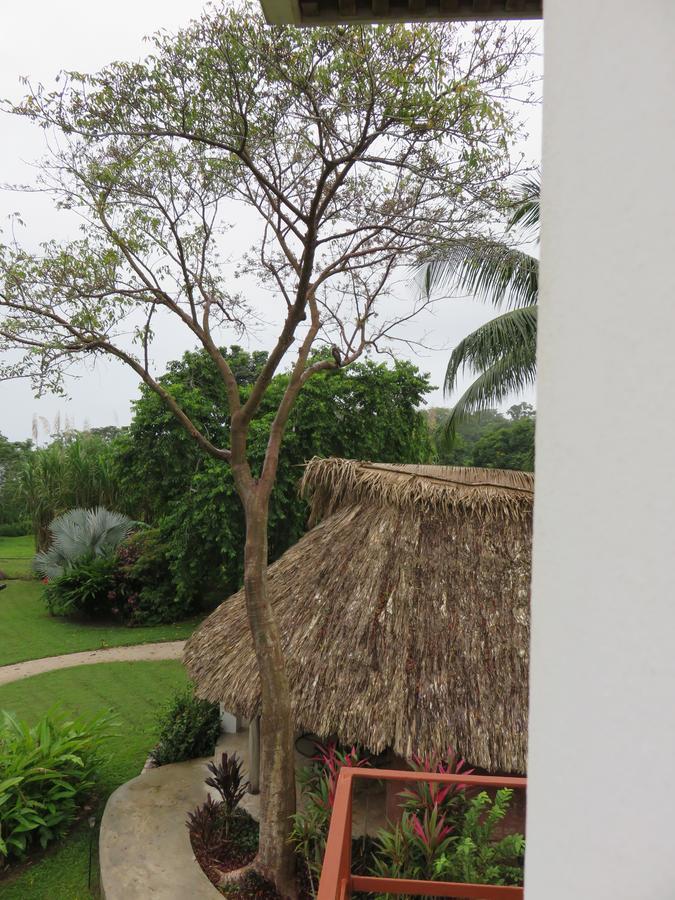 Coral House Bed and Breakfast Punta Gorda Buitenkant foto