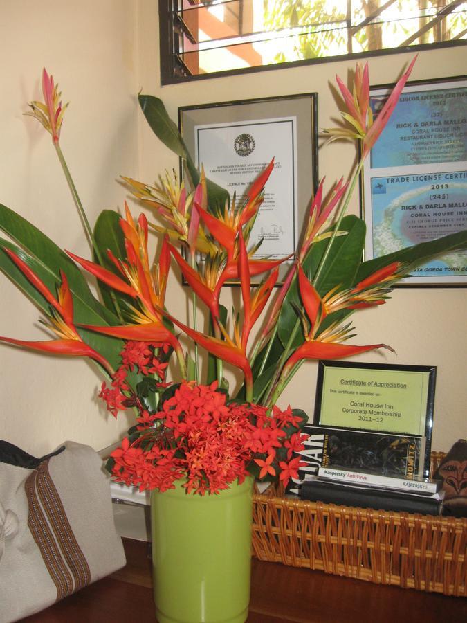Coral House Bed and Breakfast Punta Gorda Buitenkant foto